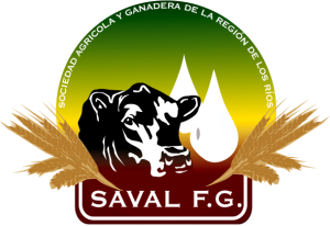 Logo SAVAL AG