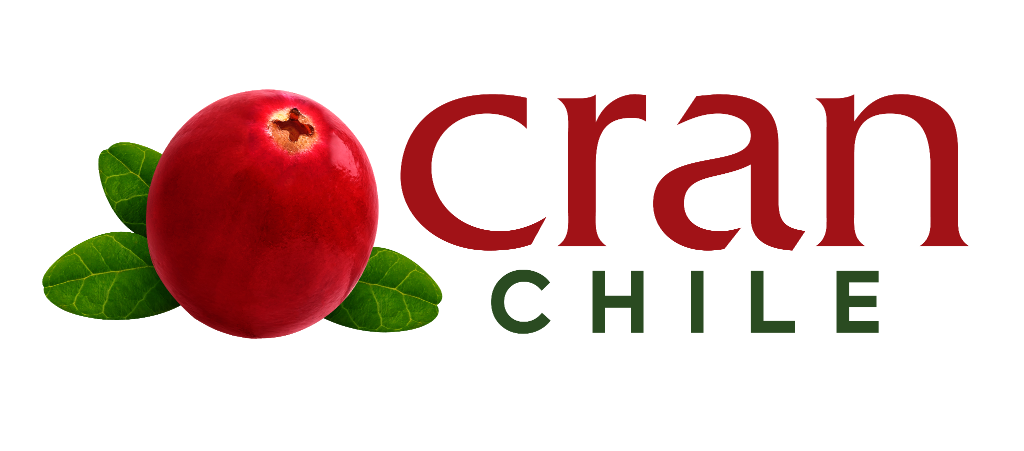 Logo Cran Chile